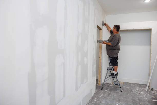 Best Environmental Consulting for Mold Prevention  in South Deerfield, MA