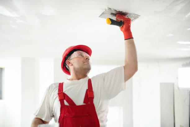 Best Dehumidification Services  in South Deerfield, MA