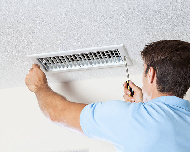 Biohazard Mold Removal in South Deerfield, MA