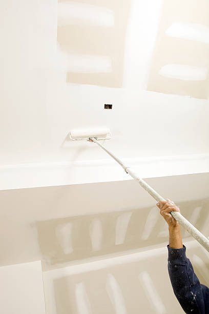 Best Water Damage & Mold Remediation  in South Deerfield, MA