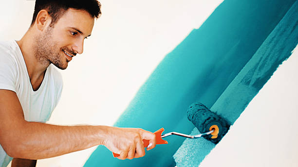 Professional Mold Removal in South Deerfield, MA